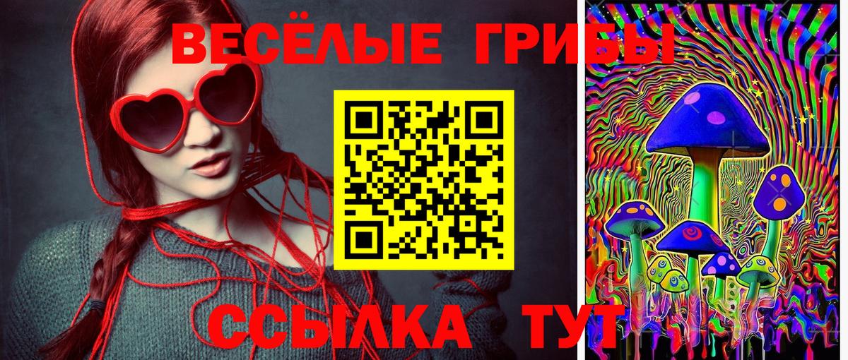 закладка  Вход с VPN  Менделеевск  Псилоцибиновые грибы Magic Shrooms 