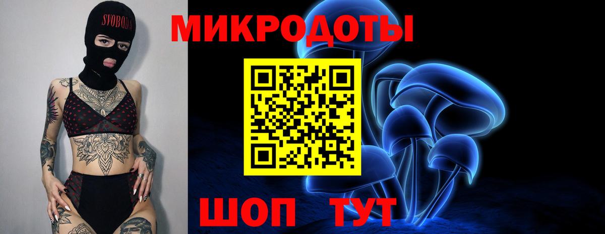 Псилоцибиновые грибы прущие грибы Менделеевск